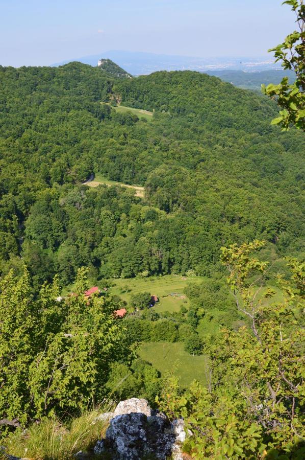 Na Okic - A Private Forest Oasis Vila Sveti Martin pod Okicem Exterior foto