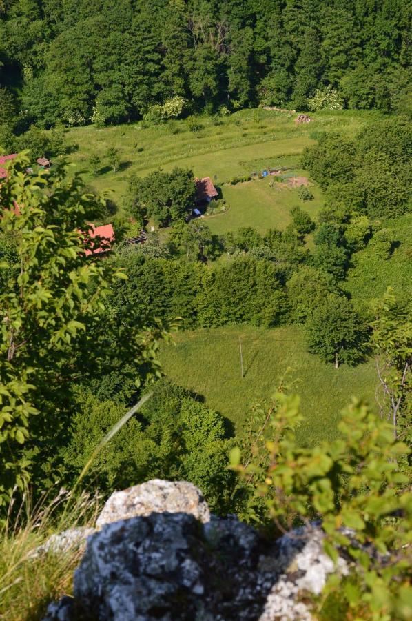 Na Okic - A Private Forest Oasis Vila Sveti Martin pod Okicem Exterior foto